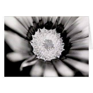 Étude de fleur