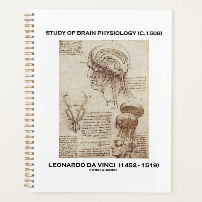 Étude de la physiologie du cerveau (c. 1508) da Vi (Devant)
