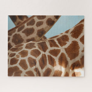Étude des girafes en mouvement Puzzle