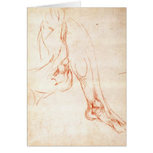 Étude d'une jambe et d'un pied inférieurs