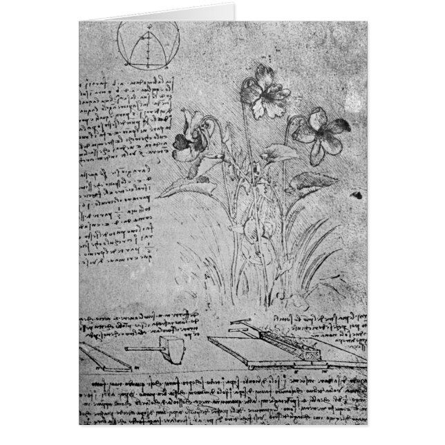 Études des altos (Devant)