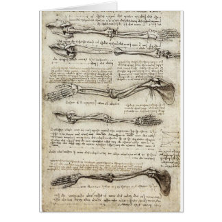 Études du bras par Leonardo da Vinci C. 1510