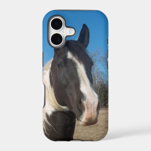 Étui de cheval pour iPhone 5