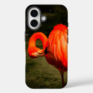 ÉTUI DE TÉLÉPHONE APPLE iPHONE AVEC UN DESIGN FLAM