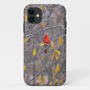 Étui de téléphone de l'arbre d'automne de cardinal