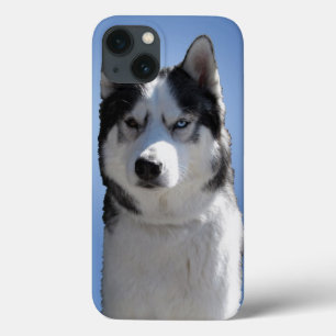 Étui Husky pour Galaxy S3 Chien de Traîneau Étui H