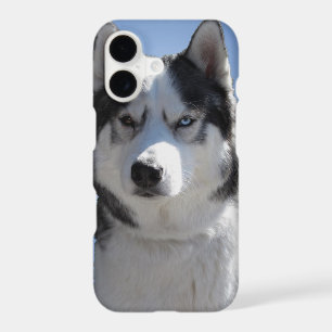 Étui Husky pour Galaxy S4 Étui Chien de Traîneau H