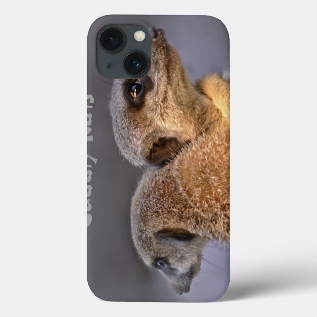 Étui iPad Cuddly Kats (Verso)