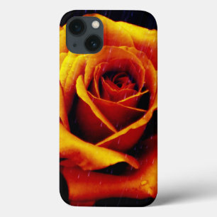 Étui iPad Drama Of The Orange Rose