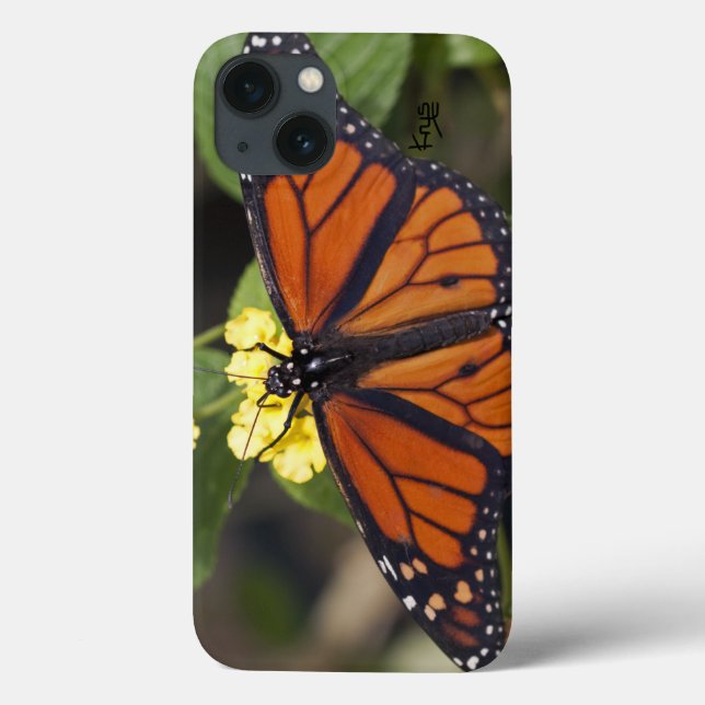 Étui iPad Monarch (Verso)