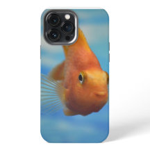 Coque de poisson-coque iphone