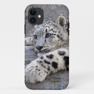Étui iPhone 5 Case-Mate All Played Out