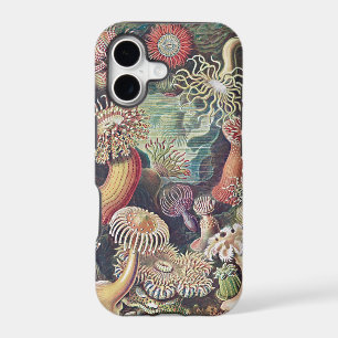 Étui iPhone Art Haeckel Anémone de mer