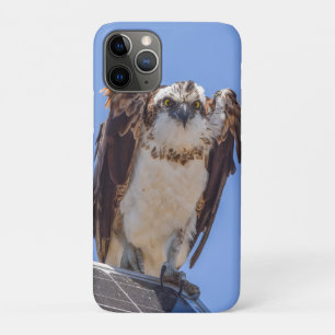 Étui iPhone Balbuzard Art de photographie d'oise