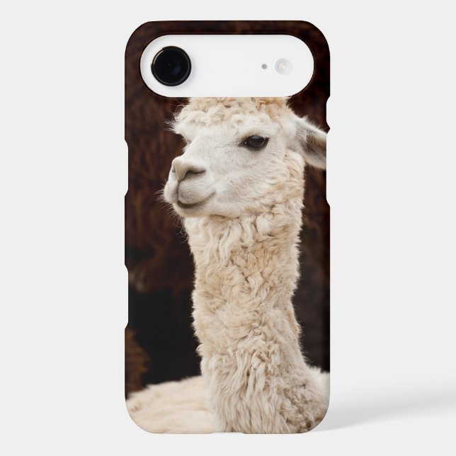Étui iPod Touch Lama (Verso)