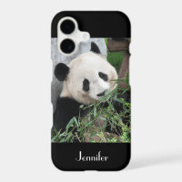 Étui noir casemate Panda géant