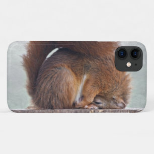 Étui pour iPhone 11 Lotus Squirrel