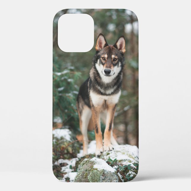 Étui pour iPhone 12 Wolfdog (Verso)