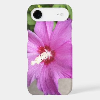 Étui pour iPhone 17 Air à fleur d'Alcea rose
