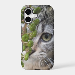 Étui pour iPhone 5 avec chaton qui se cache