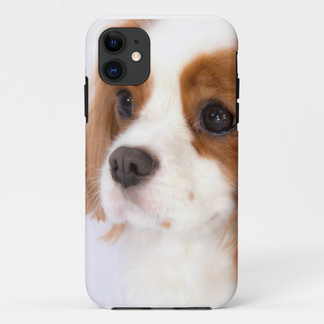 Étui pour iphone 5g Cavalier King Charles Spaniel  (Dos)