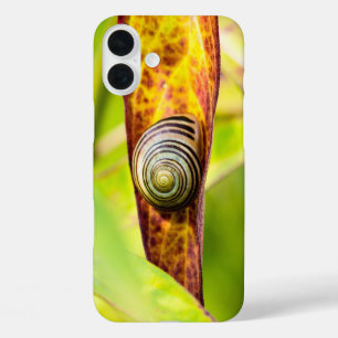 étui pour iPhone Case-Mate avec attache apaisante