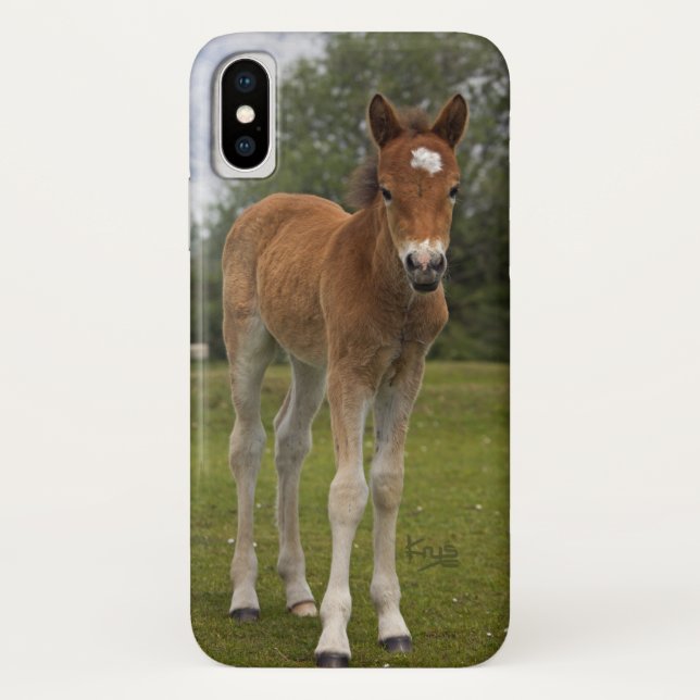 Étui pour iPhone X Poulain (Dos)