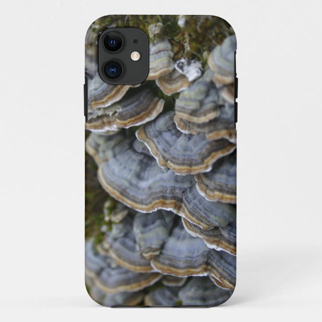 Étui pour téléphone Champignons d'arbre, iPhone SE (Dos)
