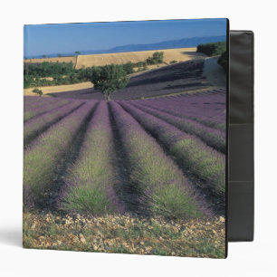 EU, France, Provence, Lavender fields 2 Binder