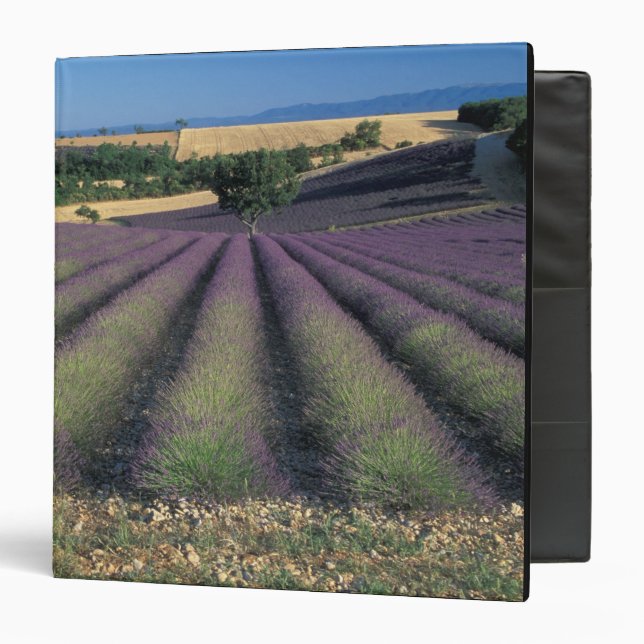 EU, France, Provence, Lavender fields 2 Binder (Front/Inside)