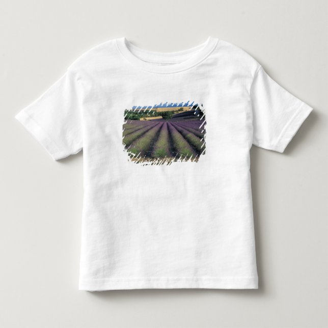 EU, France, Provence, Lavender fields 2 Toddler T-shirt (Front)