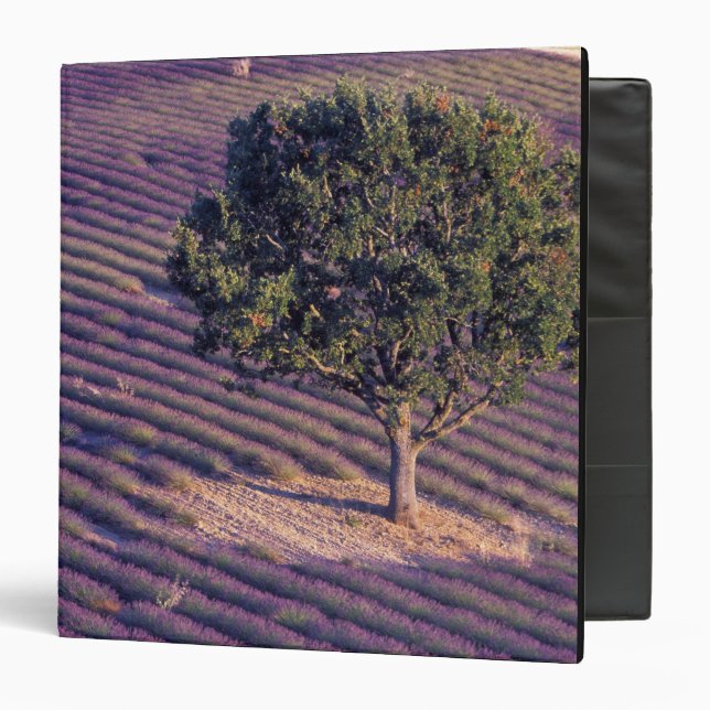 EU, France, Provence, Lavender fields Binder (Front/Inside)