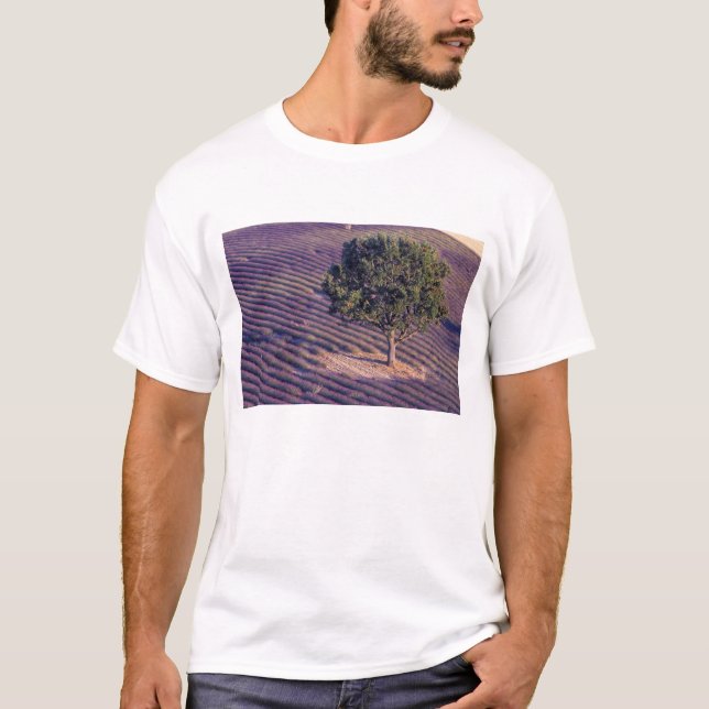 EU, France, Provence, Lavender fields T-Shirt (Front)