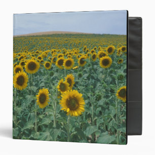 EU, France, Provence, Sunflower field Binder