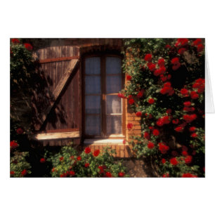 EU, France, Provence, Vaucluse, Apt. House