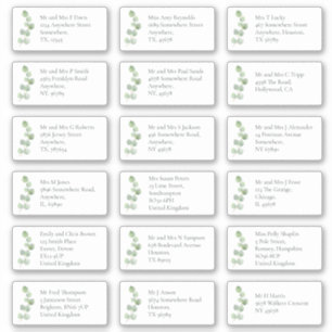 EucaIyptus Individual Recipient Name Address