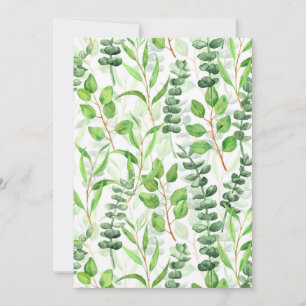 Eucalyptus
