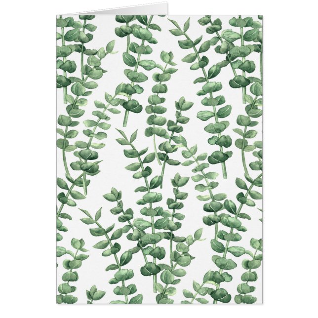 Eucalyptus 1 (Front)