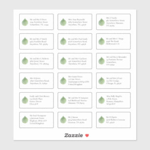 Eucalyptus 18 Individual Name Addresses Business