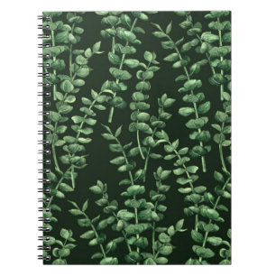 Eucalyptus 2 notebook