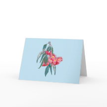 Eucalyptus (Corymbia ficifolia) on Blue