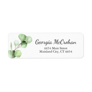 Eucalyptus Feuilles de verdure Adresse de retour L