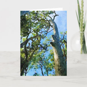 Eucalyptus Forest Holiday Card