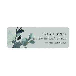 EUCALYPTUS GREEN GRAS FOLIAGE ADRESSE DE COULEUR D
