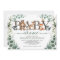 Eucalyptus Greenery Woodland Animals Baby Shower