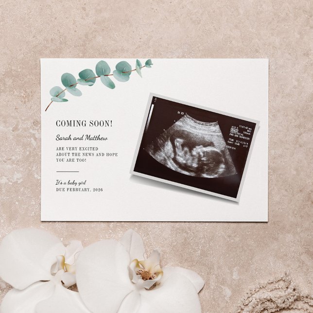 Eucalyptus Grossesse Faire-part bébé révélation (Créateur téléchargé)