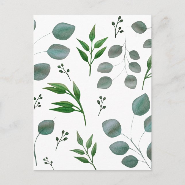 Eucalyptus leaves postcard (Front)