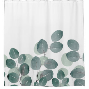 Eucalyptus Modern