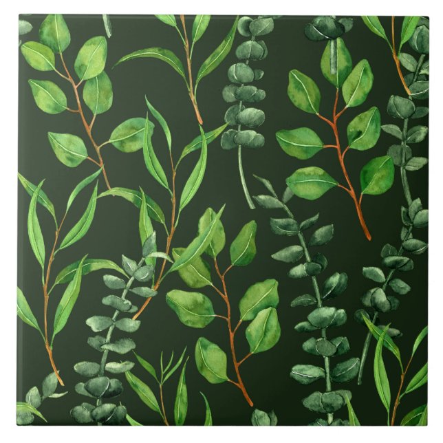 Eucalyptus  on dark green tile (Front)