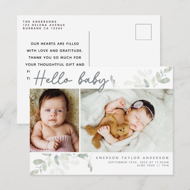 Eucalyptus Photo Hello Baby Announcement Postcard (Front/Back)